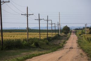 A corn field near Pickrell, Nebraska