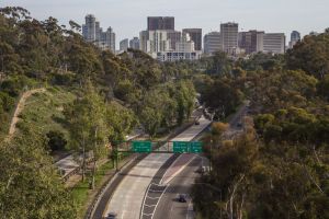 Looking downtown San Diego from Balboa Park