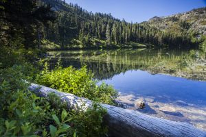 â¨Lake Siskiyouâ© near â¨Mount Shastaâ©