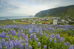 The town of Vík í Mýrdal⁩, ⁨South Iceland⁩