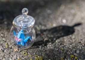 Tiny origami in a tiny jar