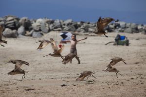 A child screaming at the birds