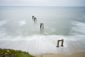 Piling from a pier that used to be there in the past.