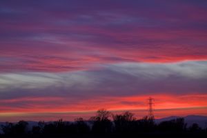 Purple Sunset