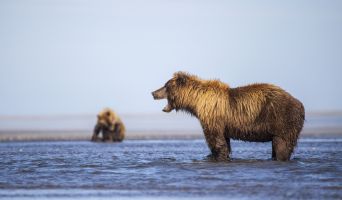 Mom yelling at her kid