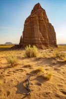 Temple of the Moon