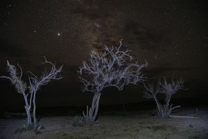 Stars in Utah