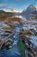 Moskenesoya⁩, ⁨Napp⁩, ⁨Nordland⁩, ⁨Norway⁩