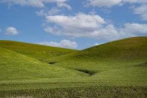 Inspired by the Bliss photo, the default desktop wallpaper for Windows XP.