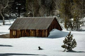 Markleeville⁩ Cabin