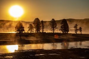 Yellowstone Golden Sunrise