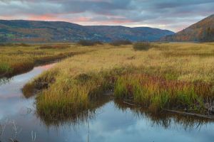 ‎⁨Margaree River⁩, ⁨Inverness⁩