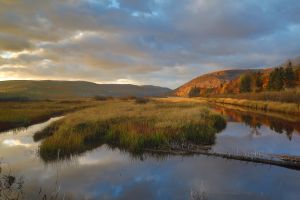 ‎⁨Margaree River⁩, ⁨Inverness⁩