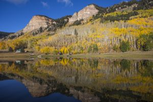 Fall Reflection