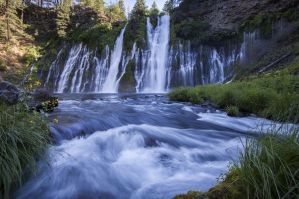 McArthur-Burney Falls in Shasta-Trinity National Forestâ©, â¨Burneyâ©, â¨California